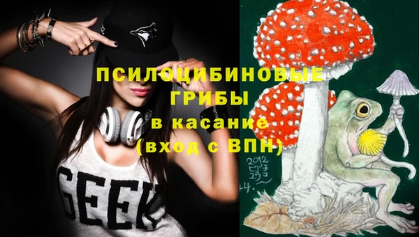прущие грибы Белоозёрский