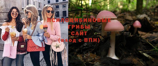 прущие грибы Белоозёрский