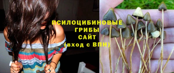 метадон Белокуриха